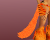 NL2-Kitty Tail Orange