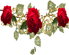 Red Roses Border