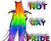 42~Not Gay Pride