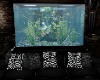 Aquarium Tank Couch