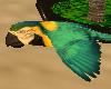 green tropical parrot