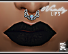 Camore Lip V4