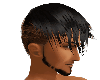 Draco Black*