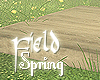 Spring_Platform