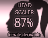 Head Resizer 87%
