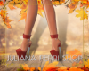 [JP] Autumn Shoes