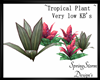 Tropical Plant ~ Low KBs