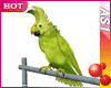 !live-Dancing Parrot