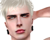 Head Tauro