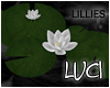 [LyL]Elation Lily Pad