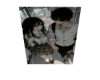 NPC -  Anime Couple V2