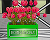 Home & Garden Flowers 3