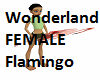 Wonderland FEM Flamingo