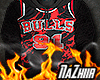 [F] xRodman Bulls Jersey