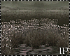 Dark Spring Field Walk