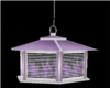 Purple  Hanging Lantern