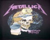 (SMR) Metallica Pic23