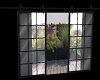 Door-Window Open