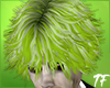 Beetle Dude Green Hair
