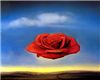 Rose Dali Painting