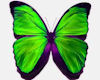 Green Butterflys 2