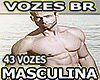 43 VOZES MASCULINA