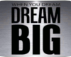 [M] DREAM BIG PIC 2