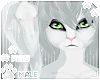 [Pets] Orya | abless fur