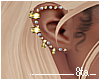Earring Set