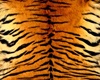 Carpets Tiger5