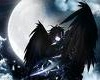 Dark Angel Ninja