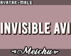 🌸 Invisible Avi M