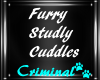 |Furry| Studly Cuddles