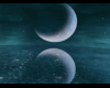 xymxy moon sea