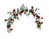 Roses Arch