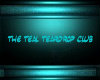 Teal Tear Lounge Swing