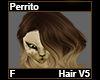 Perrito Hair F V5