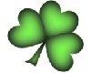 Shamrock