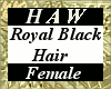 Royal Black Hair - F