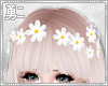 Y' White Flower Crown