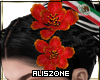 [AZ] TABASCO tulipanes
