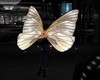 (SRS)Butterfly Wings