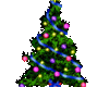 
🎄Christmas  Pet