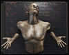 *Bronze Wall Sculpture