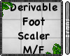 Derivable Foot Scaler