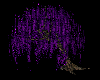 K_Willow_Tree_Purple