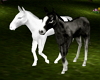 animated horses