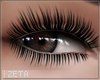 Flutter Lashes | Zeta