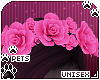 [Pets] Nia | rose crown