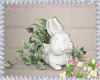 Spring Bunny Plant